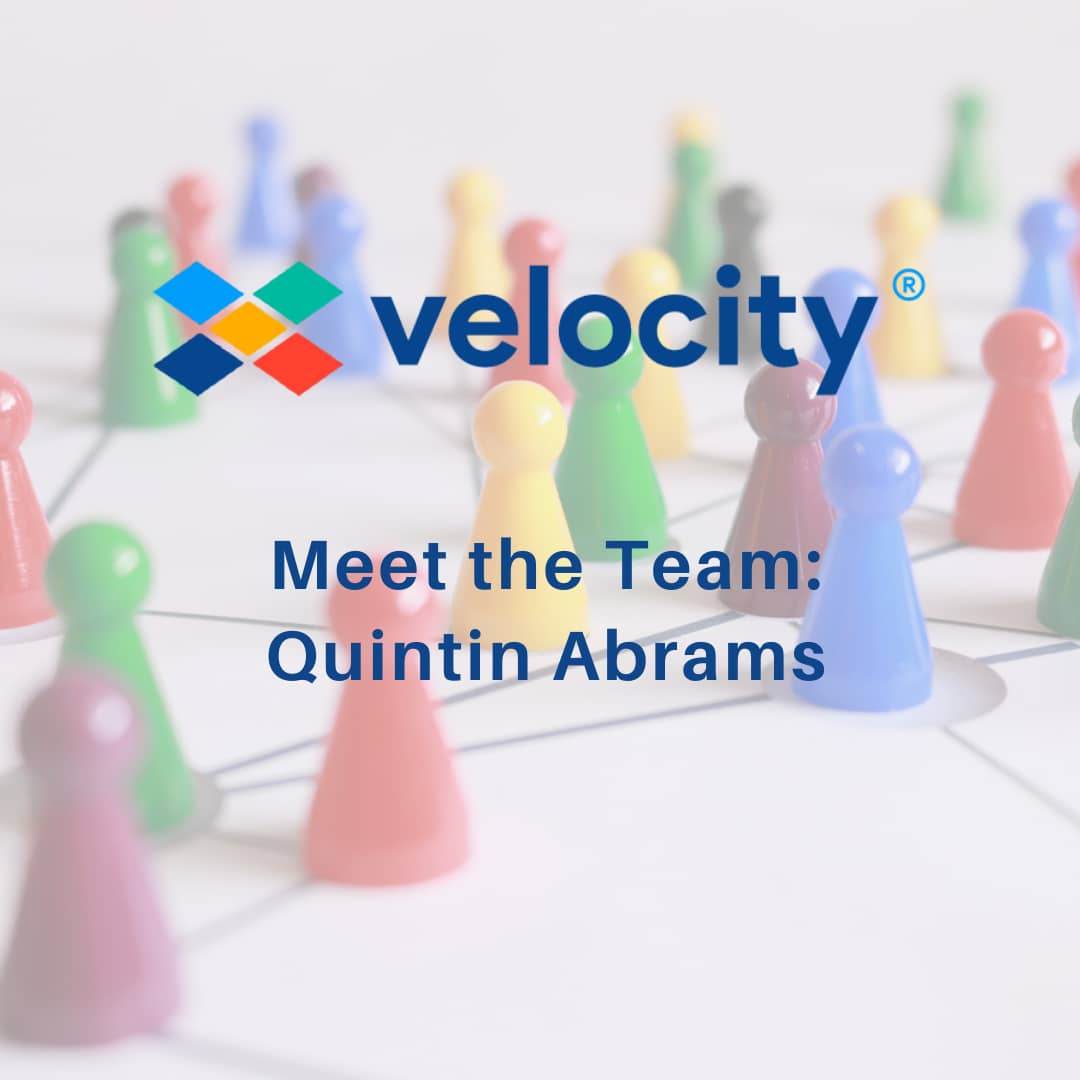 Meet the Team
